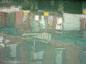 Murano%20Reflection%201 (thumbnail)