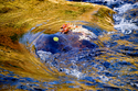 Rapids%202 (thumbnail)