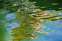 Color%20Slick (thumbnail)