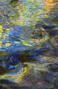 Autumn%20Swirl (thumbnail)