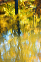 Beachland%20Park%20Autumn%202 (thumbnail)
