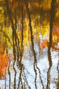 Beachland%20Park%20Autumn (thumbnail)