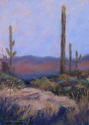 Tucson%20Dusk (thumbnail)