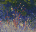 Weeds (thumbnail)