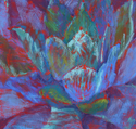 Agave%20no.1 (thumbnail)