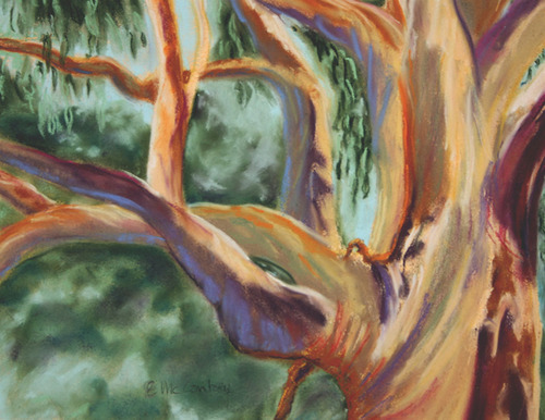Eucalyptus%20Close-Up (large view)