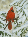 Elan McDonnell - 1020 Snowbird &amp;copy;