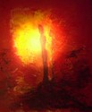 LUMINOSITY #12