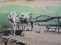 Agriculture - 2nd Era