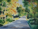 Flambeau%20Flowage%20Road (thumbnail)