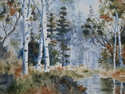 Northern%20Birch%20Trees (thumbnail)