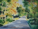 Painting--Watercolor-LandscapeFlambeau Flowage Road
