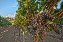 Eric Slaughenhaupt - Nature Photography Eric Slaughenhaupt - Nature Photography