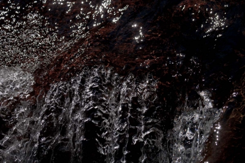 Photography-Nature-Water over log