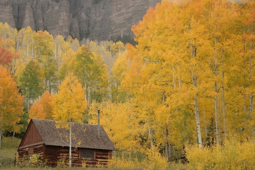 Photography-Landscape-Cabin & Aspens