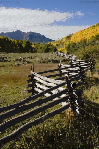 Photography-Last Dollar Rd fenceline
