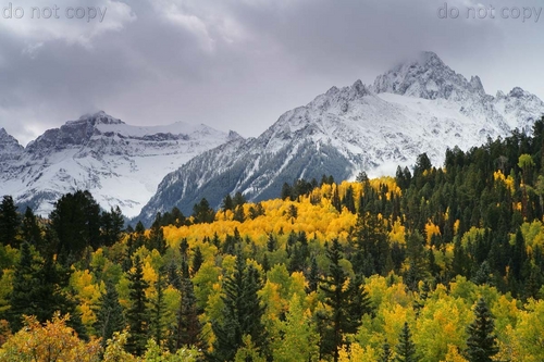 Photography-Landscape-Snow storm over aspens