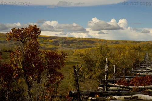 Photography-Landscape-Uncompaghre fence line