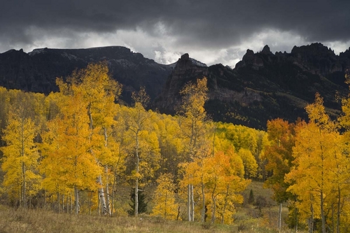 Photography-Landscape-Storm over aspens