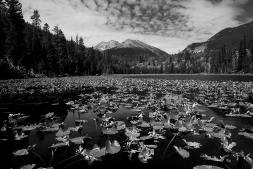 Photography-Landscape-Cub Lake