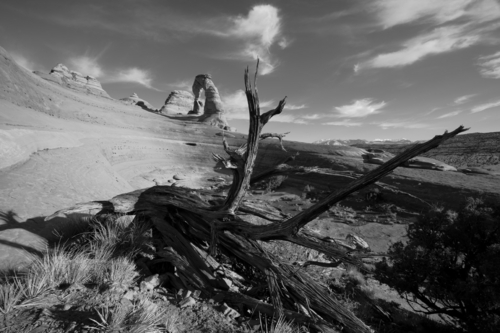 Photography-Landscape-Delicate Arch