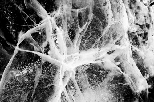 Photography-Abstract-Fissures