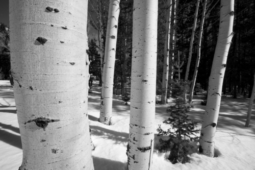 Photography-Landscape-Homeboys