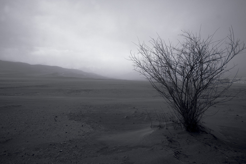 Photography-Landscape-Storm Coming