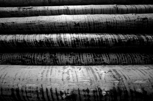 Photography-Abstract-Stripped