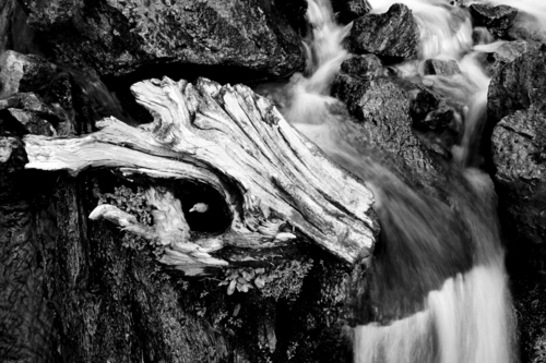 Photography-Landscape-Diverted