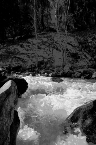 Photography-Landscape-Ghost Aspens
