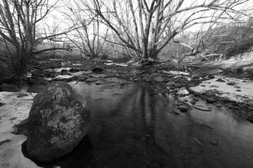 Photography-Landscape-El Dorado Creek #1