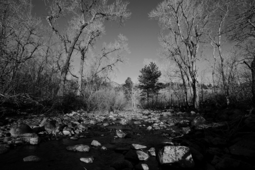 Photography-Landscape-El Dorado Creek #2