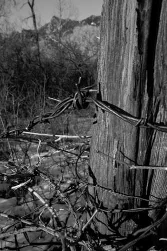 Photography-Landscape-Barb Wire #1