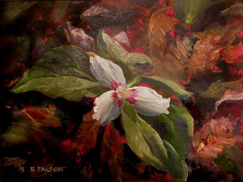 Trillium