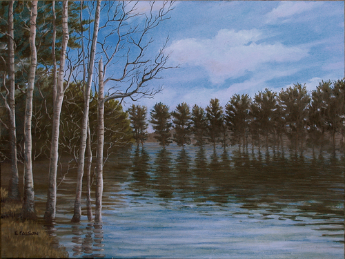 Spring Flooding