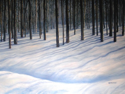 Snowy Woods