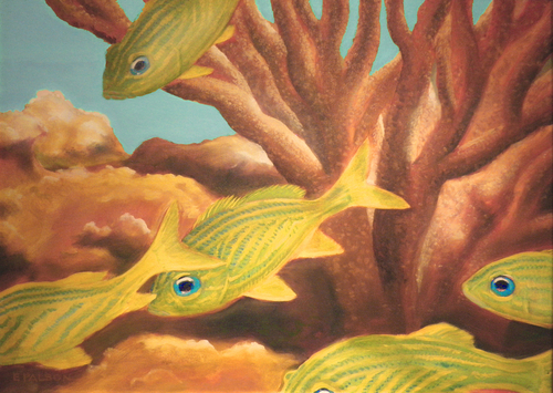 Reef Fish