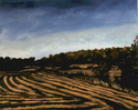 Fall Fields