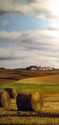 View From the Matt Farm, Iowa III