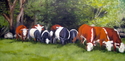Grazing Cows, Maine