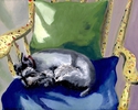 Schotzie Napping in the Studio