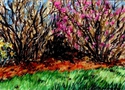Wellesley College Botanic Garden I 