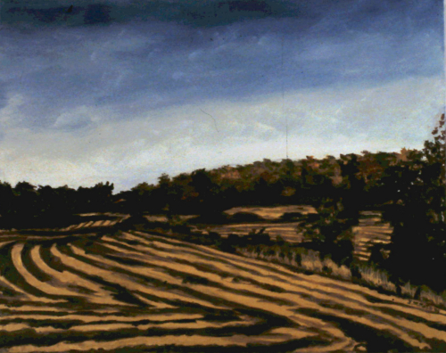 Fall Fields