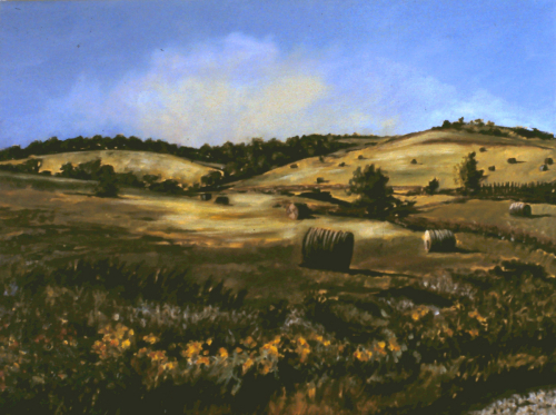 Rolling Hills Near Lawrence, Kansas