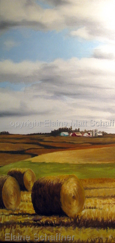 View From the Matt Farm, Iowa III