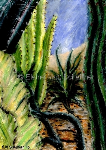 Wellesley College Botanic Garden II 