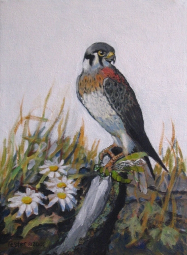 Painting-Wildlife-Little Hunter - America Kestril