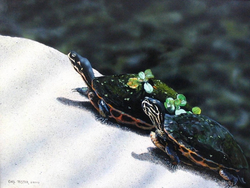 Painting-Wildlife-Solar Collectors