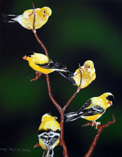 Painting-Wildlife-Hanging Out